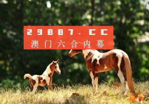探索精準跑狗圖正版，一場數(shù)字與娛樂的交融之旅