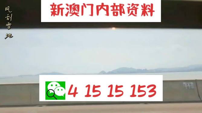 新澳精準(zhǔn)資料期期精準(zhǔn)，背后的風(fēng)險(xiǎn)與警示