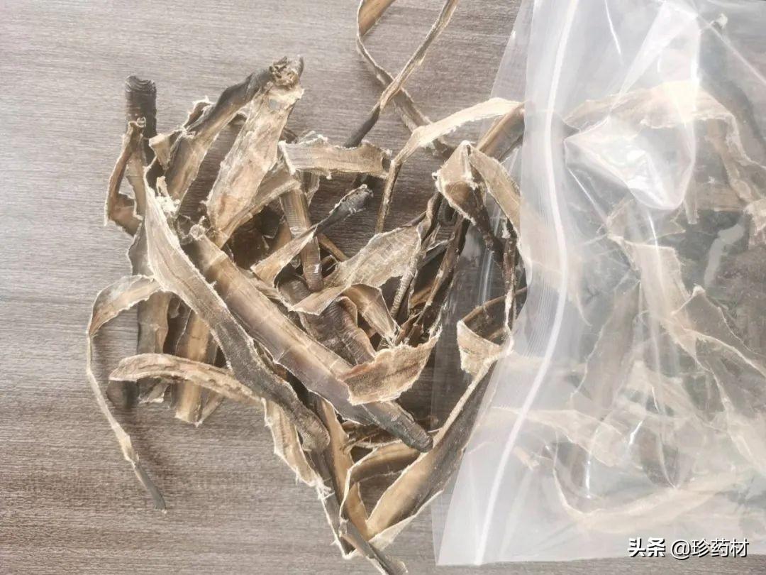 蒺藜最新價(jià)格動(dòng)態(tài)分析