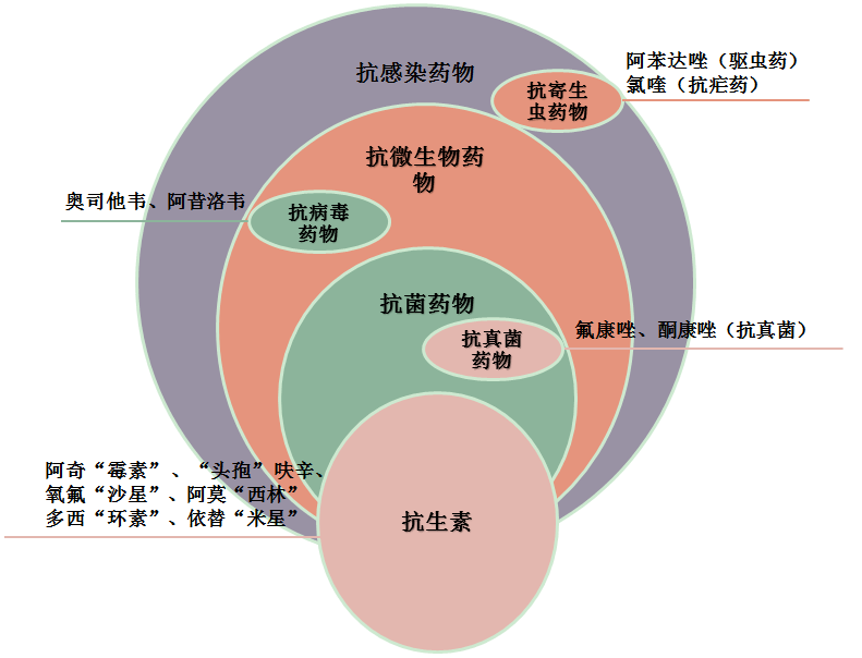 最新殺菌藥，引領(lǐng)未來抗菌治療的新篇章