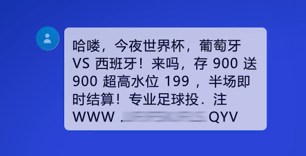 警惕虛假彩票網(wǎng)站，切勿涉及違法犯罪行為——以新澳門正版資料免費大全和福彩公益網(wǎng)為例