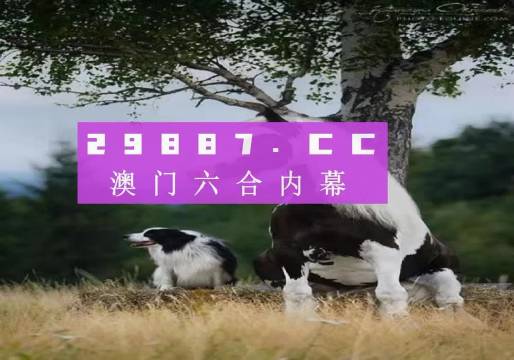 澳門跑狗圖免費(fèi)正版圖2024年,澳門跑狗圖免費(fèi)正版圖2024年，探索與期待