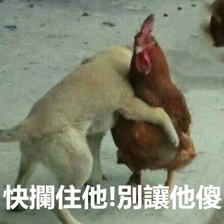 今晚澳門特馬開什么今晚四不像,警惕虛假預(yù)測，今晚澳門特馬開什么與四不像無關(guān)