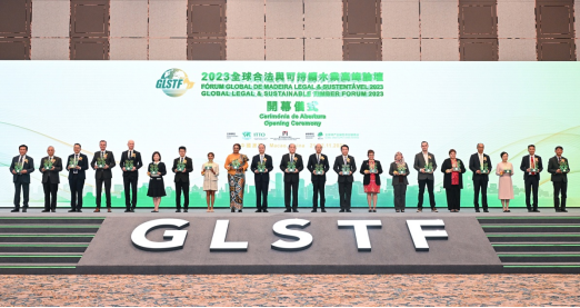 2024今晚澳門開(kāi)什么號(hào)碼,探索澳門彩票世界，今晚2024年澳門開(kāi)什么號(hào)碼？