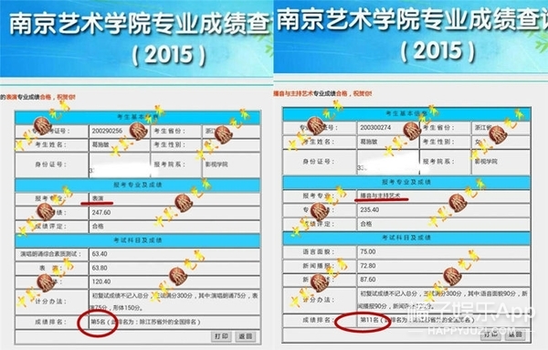 新奧天天免費(fèi)資料單雙中特,新奧天天免費(fèi)資料單雙中特，探索與解析