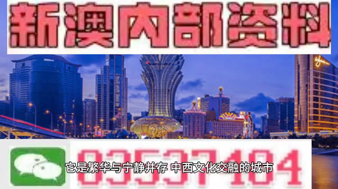 新奧門免費全年資料查詢,新澳門免費全年資料查詢，探索與解讀
