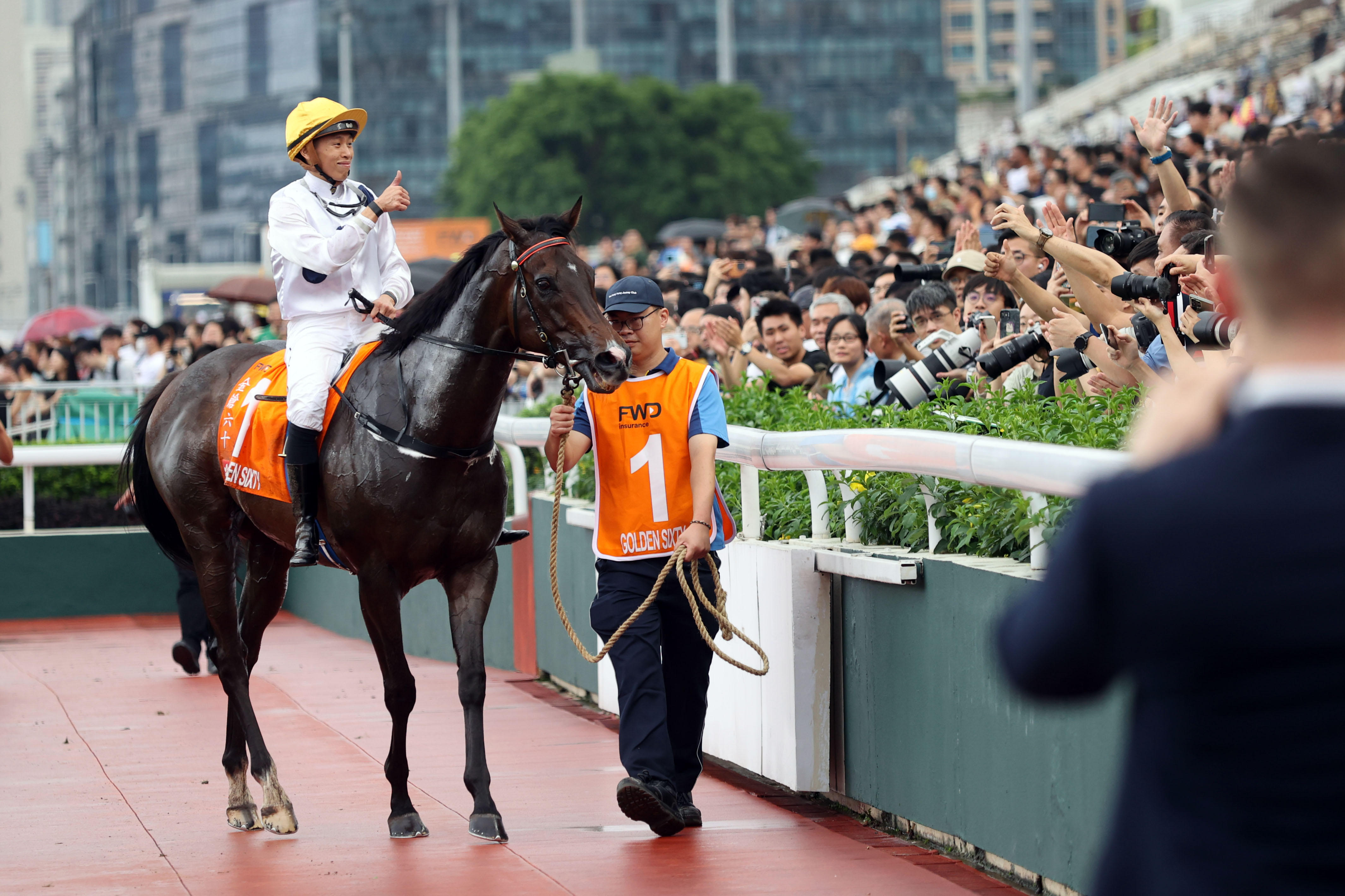 2024香港賽馬全年免費(fèi)資料,探索香港賽馬，2024全年免費(fèi)資料指南
