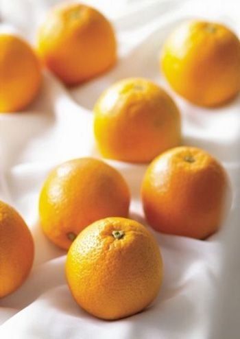 老橙子最新,老橙子最新，探索橙子產(chǎn)業(yè)的革新與發(fā)展
