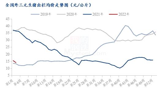 最新羊價(jià)格走勢,最新羊價(jià)格走勢分析