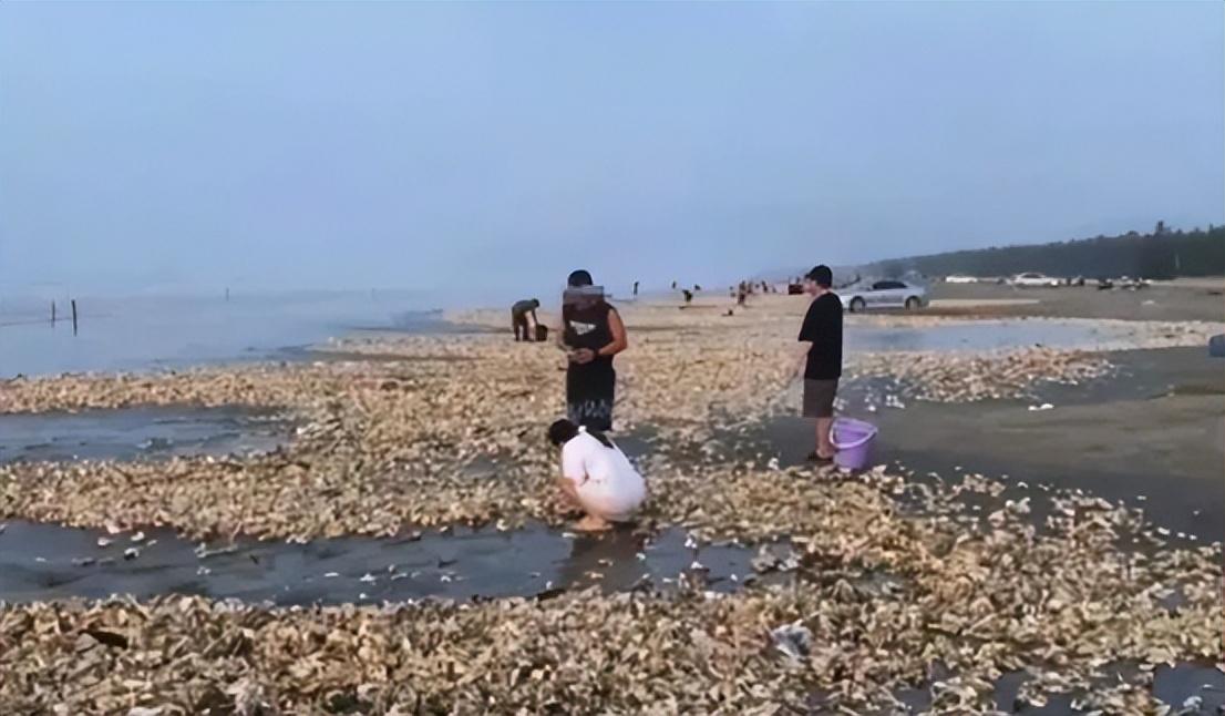 收水器 第176頁
