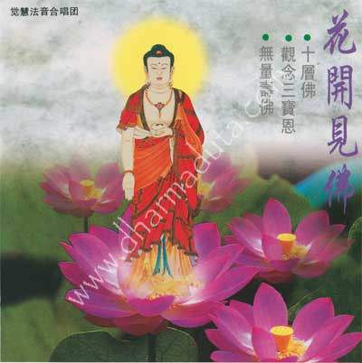 最新佛歌,最新佛歌，唱響心靈之音