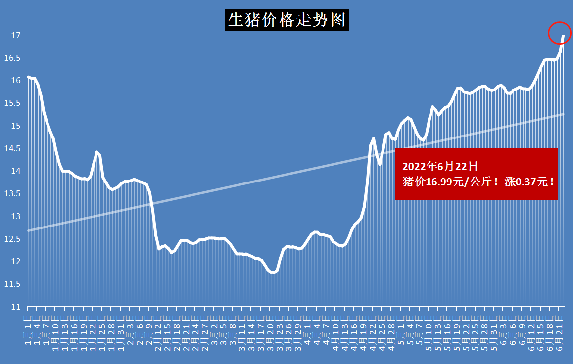 河南最新豬價,河南最新豬價動態(tài)分析