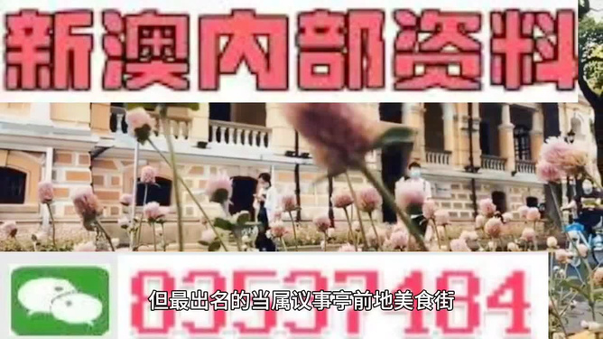 2024新澳精準資料大全,關于2024新澳精準資料大全的探討與警示——警惕違法犯罪風險