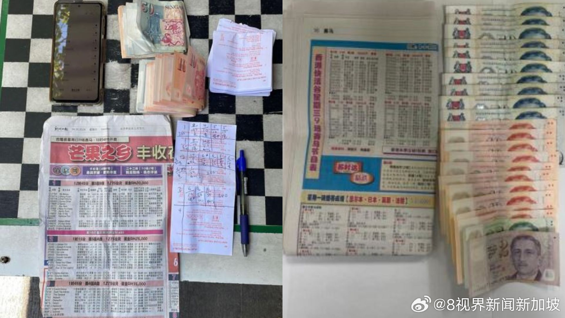 香港特馬資料王中王,香港特馬資料王中王，揭示背后的違法犯罪問題
