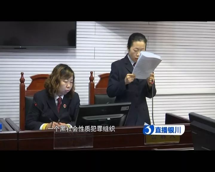 澳門今晚必開一肖一特,澳門今晚必開一肖一特——揭開犯罪的面紗