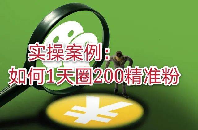 澳門天天免費(fèi)精準(zhǔn)大全,澳門天天免費(fèi)精準(zhǔn)大全，揭示背后的風(fēng)險與犯罪問題