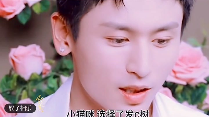 白小姐資料大全 正版資料白小姐奇緣四肖,白小姐資料大全與奇緣四肖，正版資料揭秘