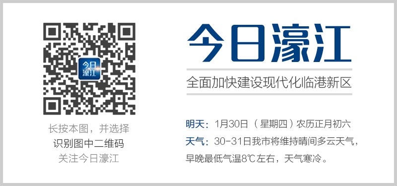 22324濠江論壇一肖一碼,探索濠江論壇，一肖一碼的魅力與影響