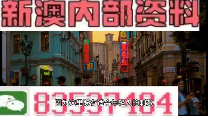 澳門天天彩期期精準龍門客棧,澳門天天彩期期精準與龍門客棧，揭示犯罪現象的警示故事