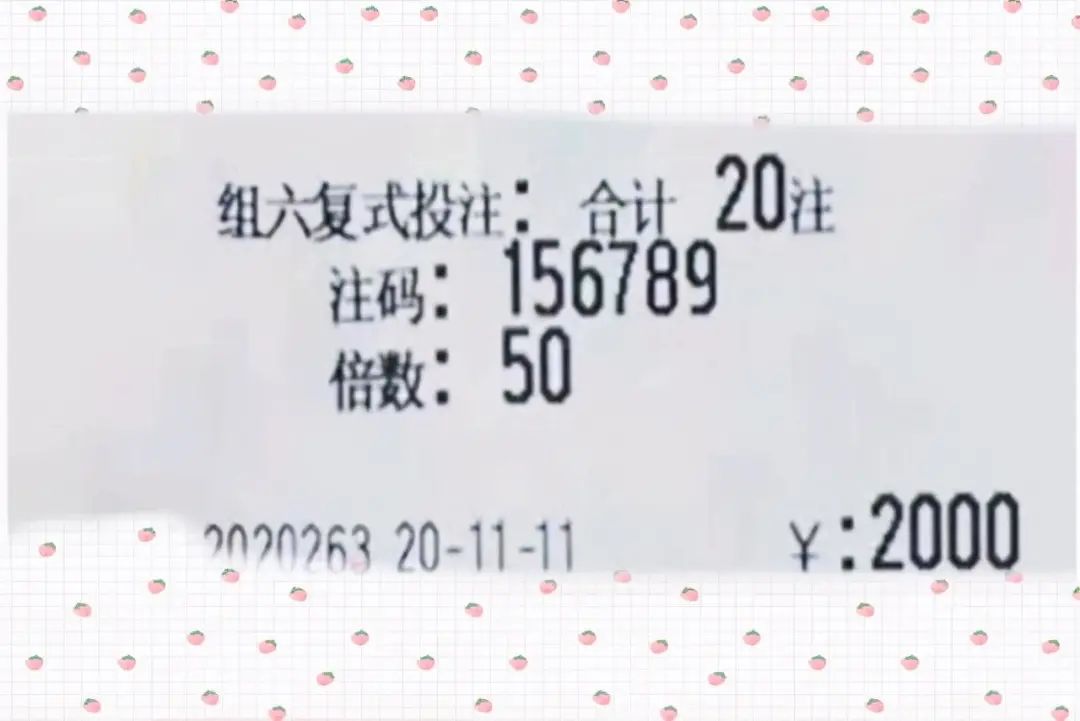 澳門六開獎結果2024開獎今晚,澳門六開獎結果2024年今晚開獎，探索彩票背后的故事與期待