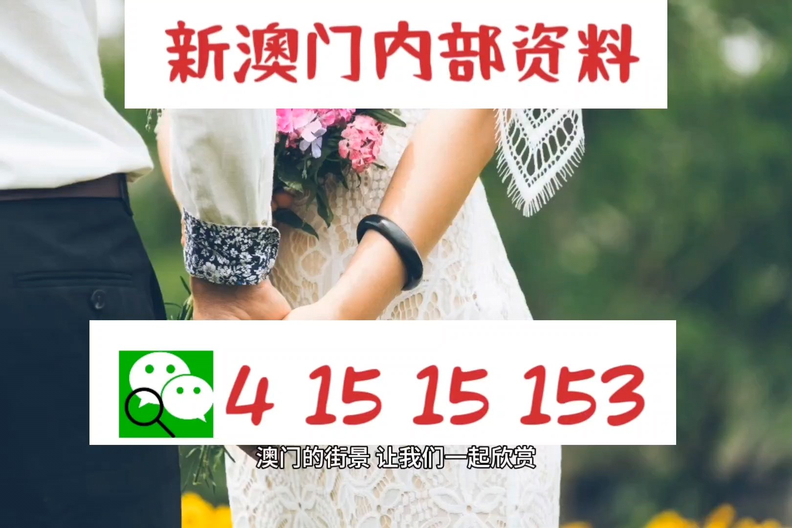 澳門最準的資料免費公開,澳門最準的資料免費公開，深度探索與解析