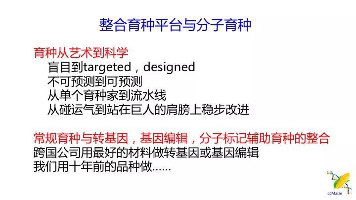 澳門(mén)天天免費(fèi)精準(zhǔn)大全,澳門(mén)天天免費(fèi)精準(zhǔn)大全，揭示背后的風(fēng)險(xiǎn)與挑戰(zhàn)
