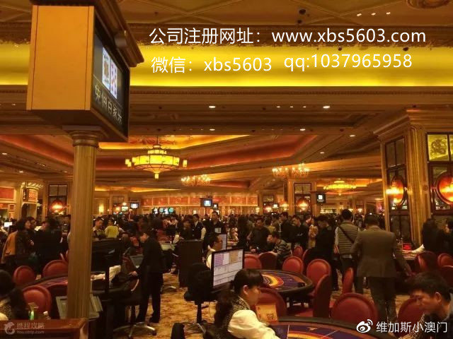 澳門今晚最準一肖一碼,澳門今晚最準一肖一碼，揭示背后的風險與挑戰(zhàn)