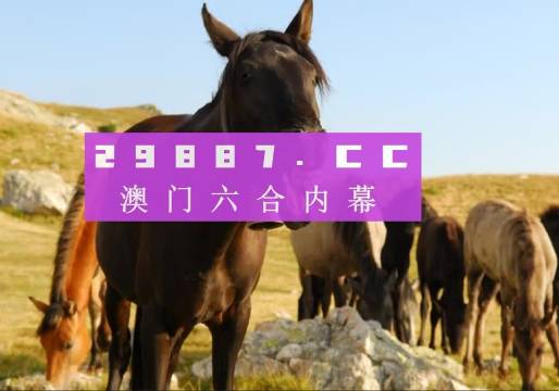 2023管家婆資料正版大全澳門,澳門正版大全，探索2023年管家婆資料的世界