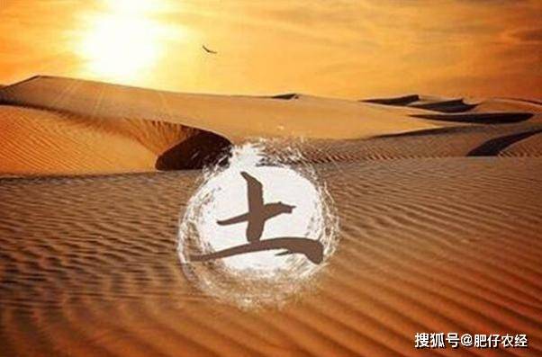 一肖一碼中持一一肖一碼,一肖一碼中持一一肖一碼，探索與理解