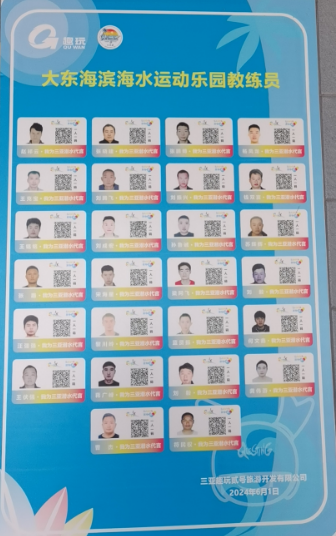 婆家一肖一碼資料大全,婆家一肖一碼資料大全，違法犯罪問題的探討