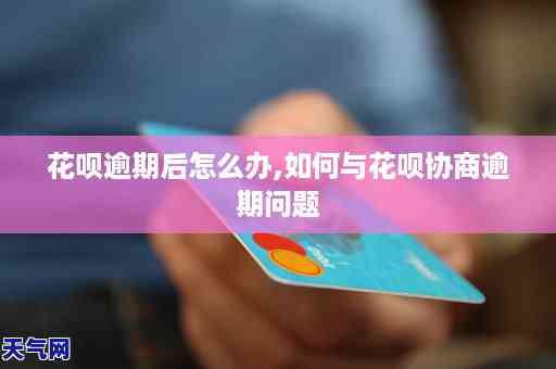 最新記住利率,最新記住利率，影響與應(yīng)對策略