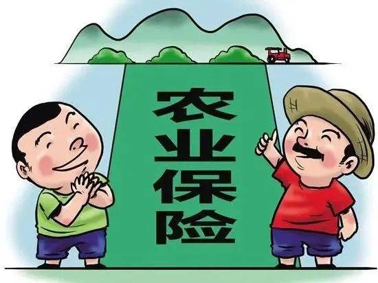 農(nóng)保最新,農(nóng)保最新動(dòng)態(tài)，政策調(diào)整與發(fā)展趨勢(shì)