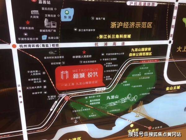 內(nèi)蒙最新鼠疫,內(nèi)蒙最新鼠疫，全面解析與應(yīng)對策略