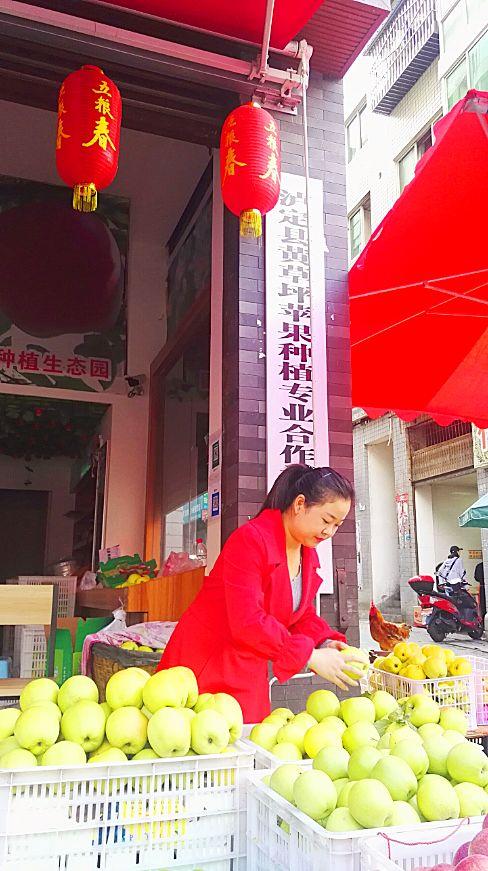 最新紅富士,最新紅富士，色彩與味道的完美結(jié)合