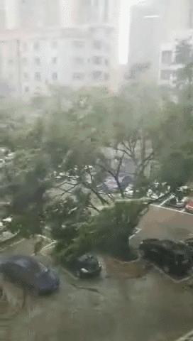 臺(tái)風(fēng)最新廣州,廣州臺(tái)風(fēng)最新動(dòng)態(tài)
