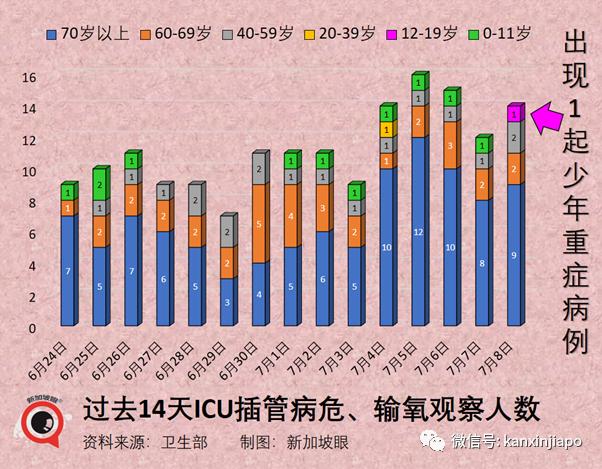 新加坡入境最新,新加坡入境最新政策與規(guī)定，全面解讀與實用指南