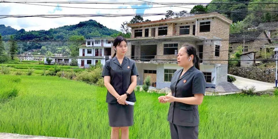 最新司法審判,最新司法審判，公正與效率的雙重追求