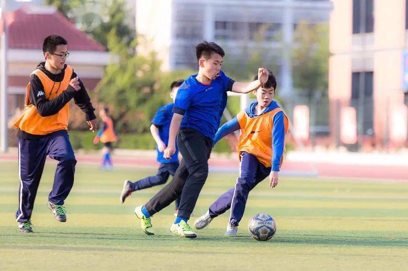 李純最新,李純最新動態(tài)，綻放的光芒照亮娛樂圈