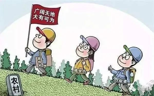 最新下網(wǎng)口子,關(guān)于最新下網(wǎng)口子的探討，犯罪行為的危害與應(yīng)對之策