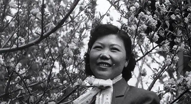 許夫人最新,許夫人最新風(fēng)采，時代女性的典范