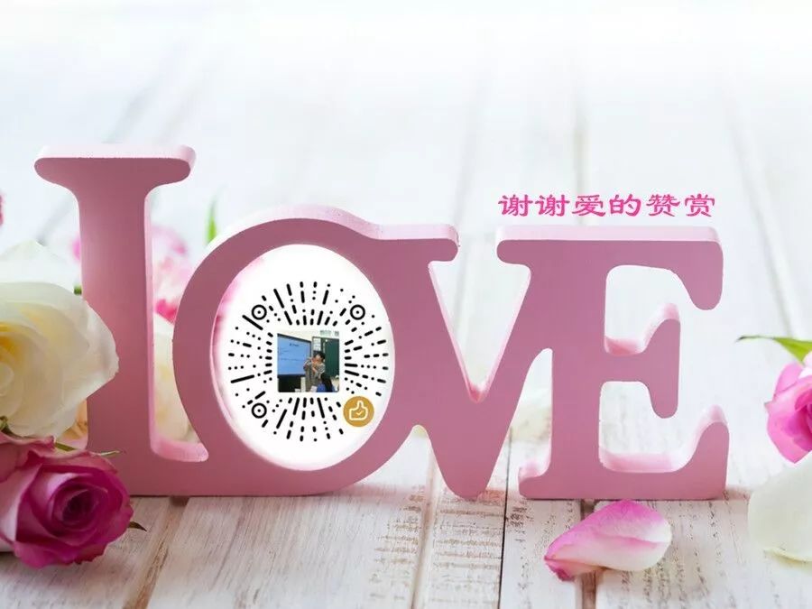 愛多多最新,愛多多最新，探索與發(fā)現(xiàn)