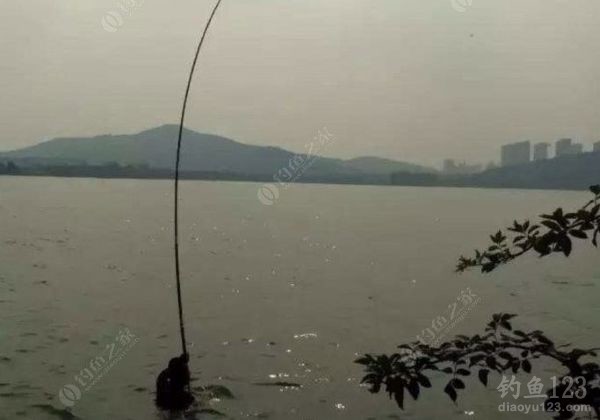 最新陰天漂,最新陰天漂釣魚技巧與體驗分享