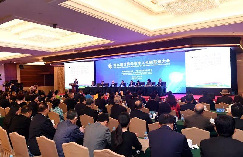 最新的片兒,最新的片兒，探索前沿科技與文化交融的魅力