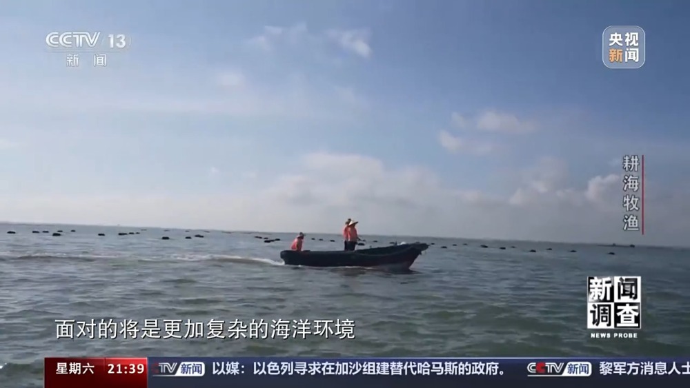最新海漁網(wǎng),最新海漁網(wǎng)，探索海洋漁業(yè)的新領(lǐng)域與新機(jī)遇