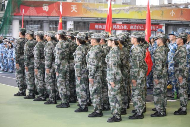 越軍最新迷彩,越軍最新迷彩，探索現(xiàn)代化軍事迷彩技術的革新之路