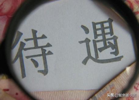 最新職稱掛靠,最新職稱掛靠，行業(yè)發(fā)展的必然趨勢與挑戰(zhàn)應(yīng)對