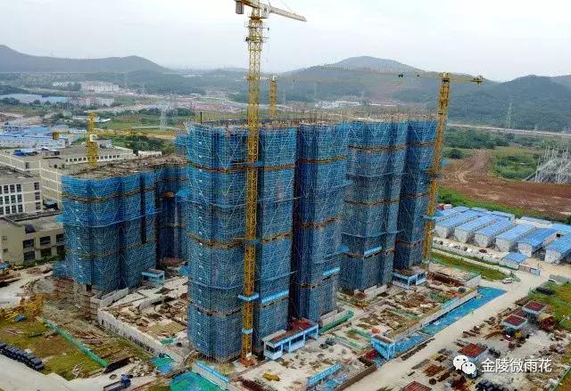 電影軟件最新,電影軟件最新動(dòng)態(tài)，革新與用戶體驗(yàn)的雙贏戰(zhàn)略