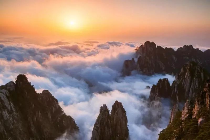 黃山最新云海,黃山最新云海，仙境再現(xiàn)人間