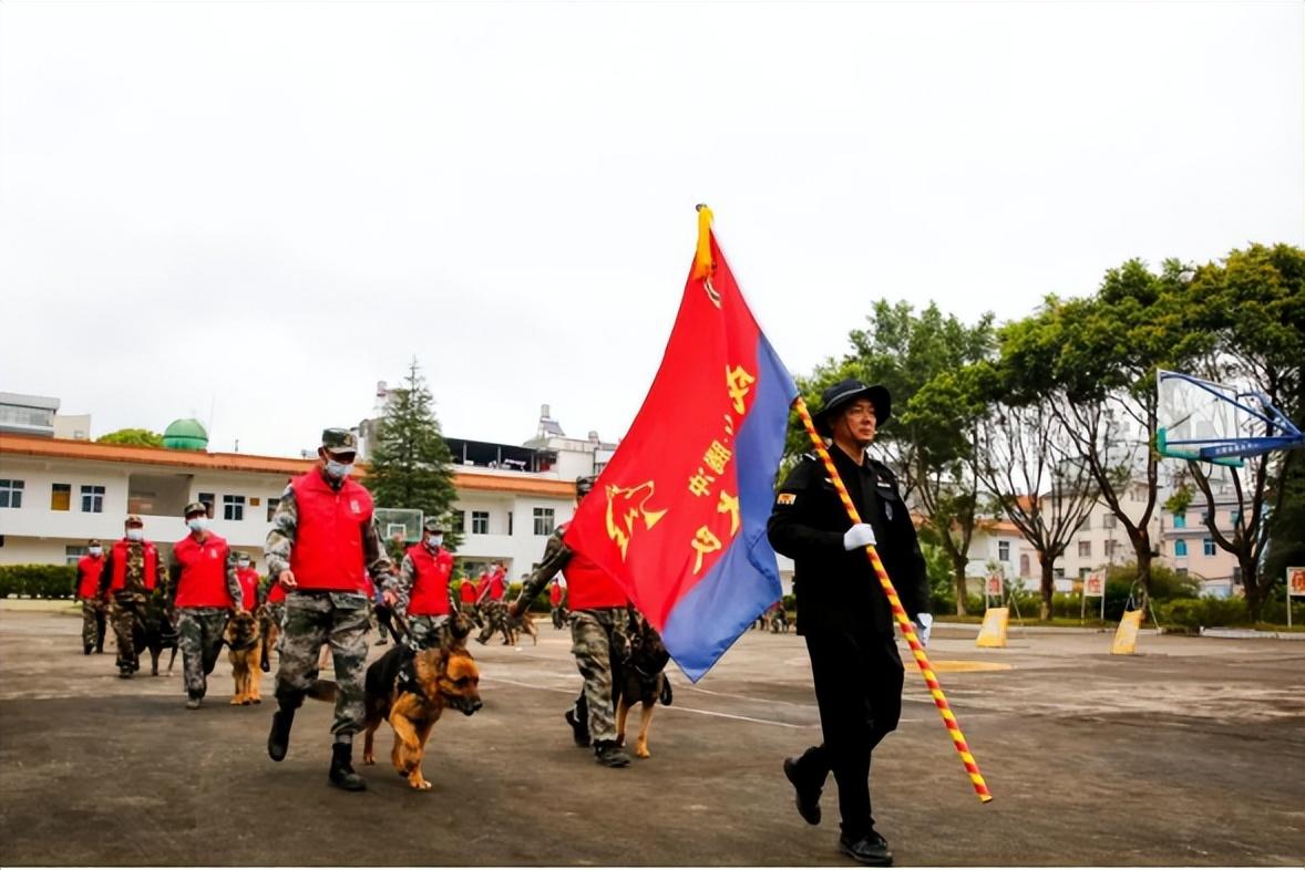 最新的警犬,最新的警犬，科技融合保護的力量