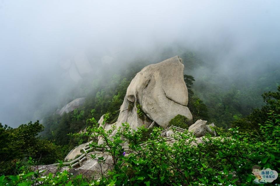 黃山最新動態(tài),黃山最新動態(tài)，揭秘自然奇觀與人文融合的新篇章